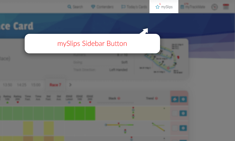 Sample Race Card mySlips Closed - TrackMate