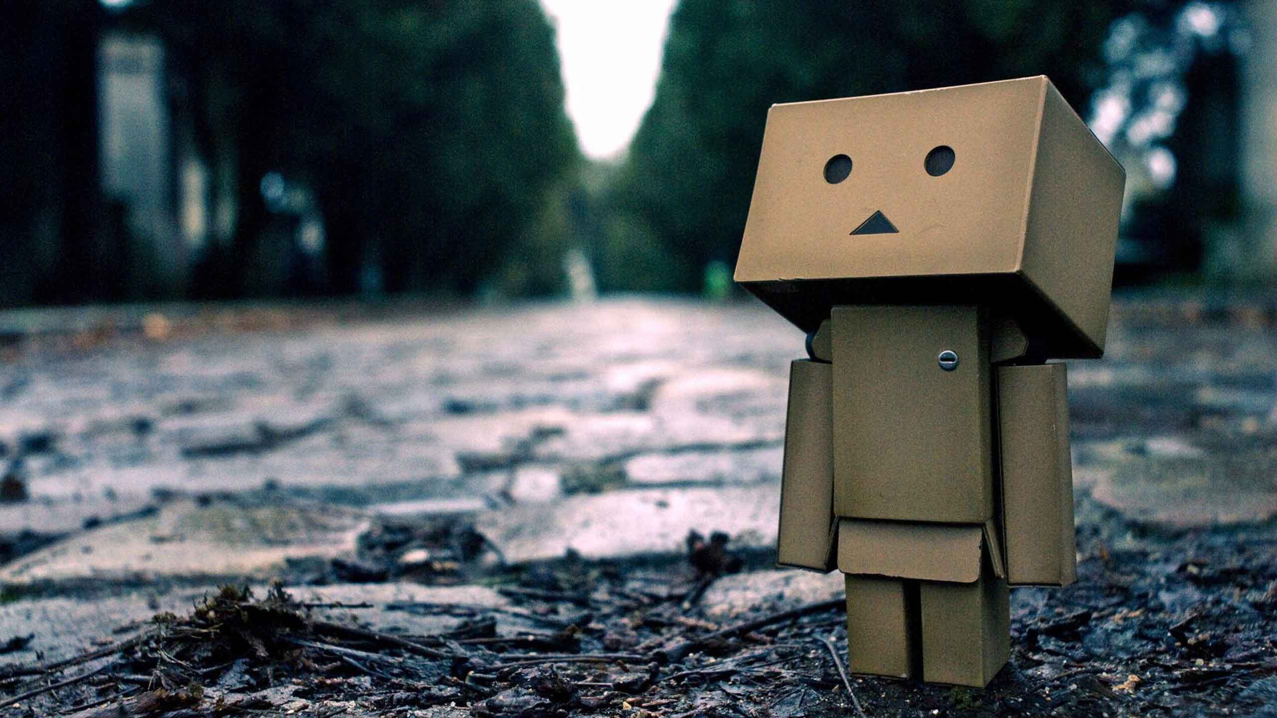 I’m NEW to Horse Racing & Confused… HELP!